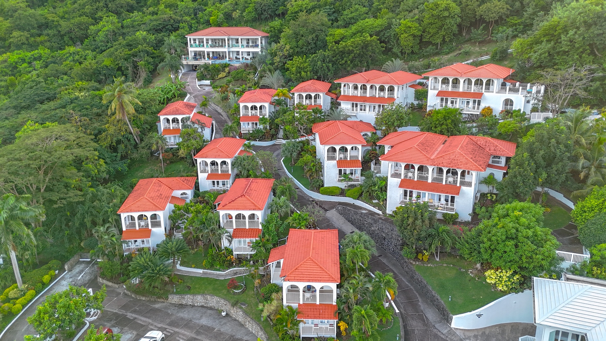 Mount Cinnamon Aerial Resort