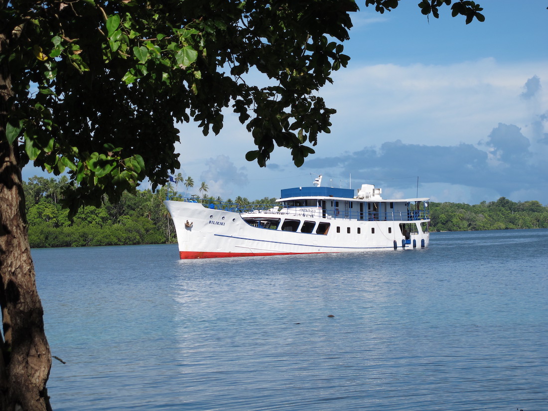 Mv Bilikiki Liveaboard Solomons