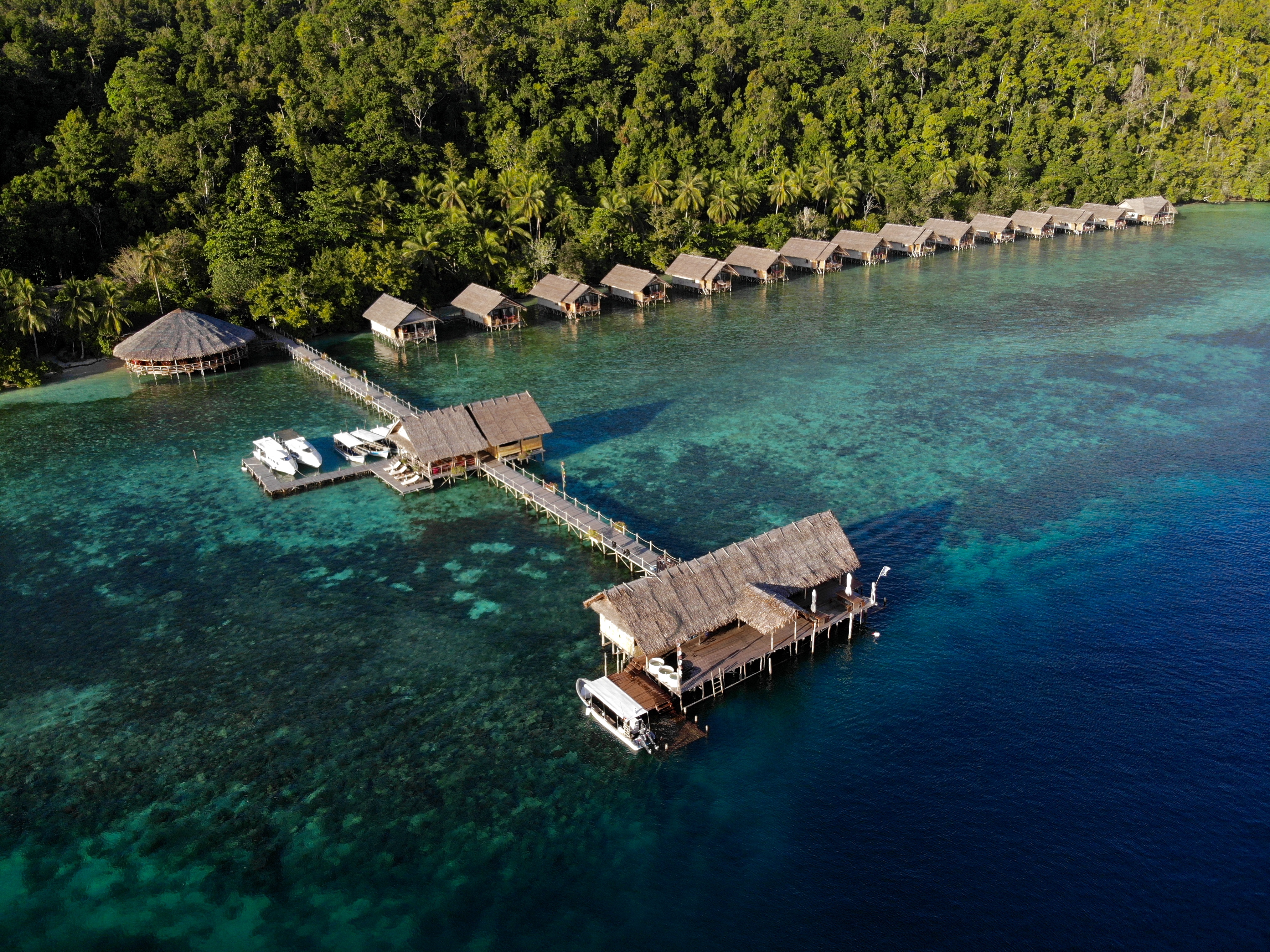 Best Dive Resorts In Indonesia Reefscape Travel